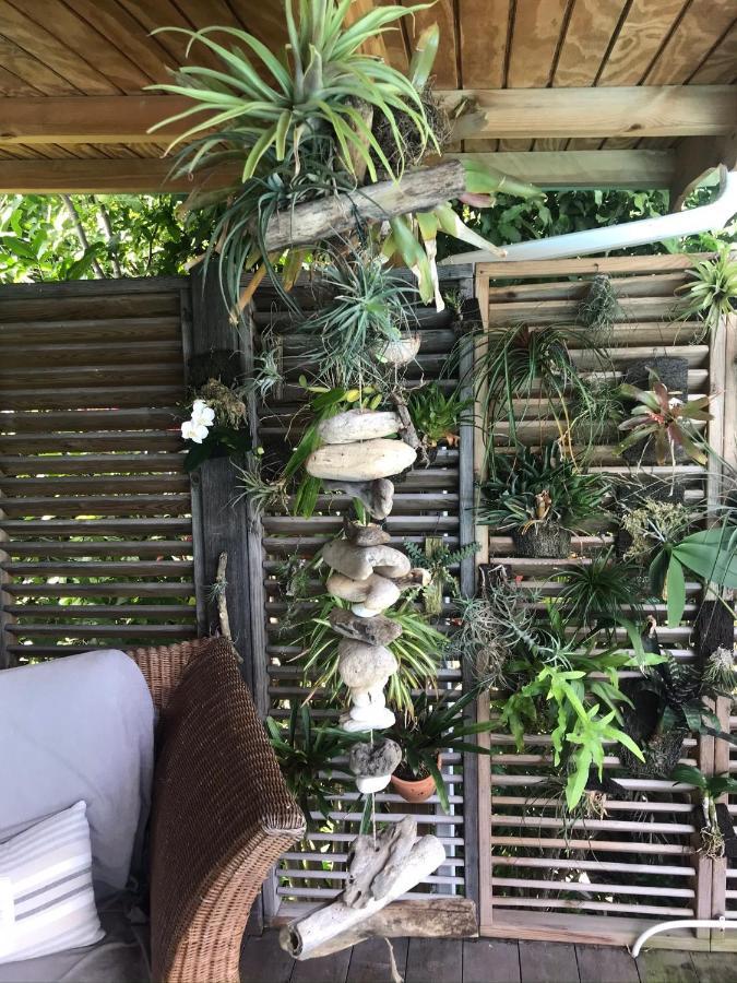 Villa Pelican Lodge Deshaies Ngoại thất bức ảnh